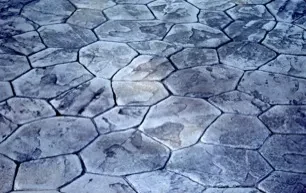 Stamped concrete texture